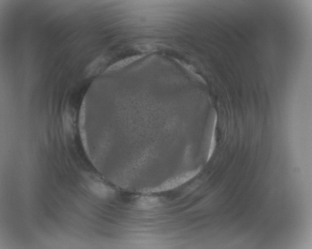 X0000082170332200702021733