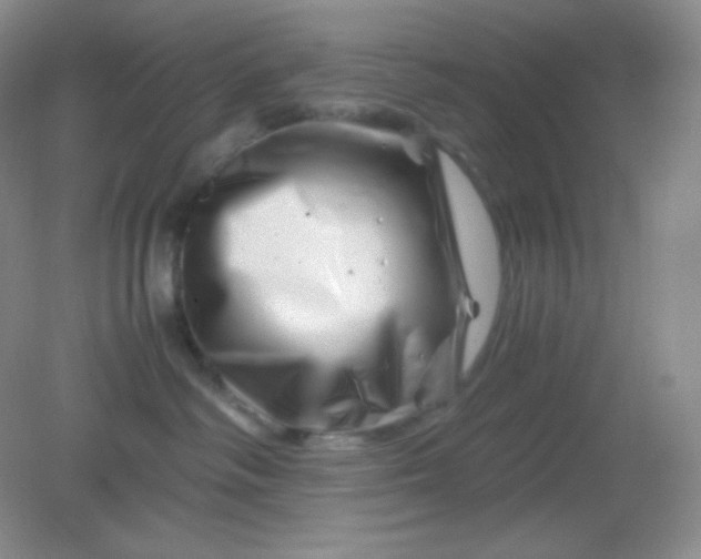 X0000082170334200702021733