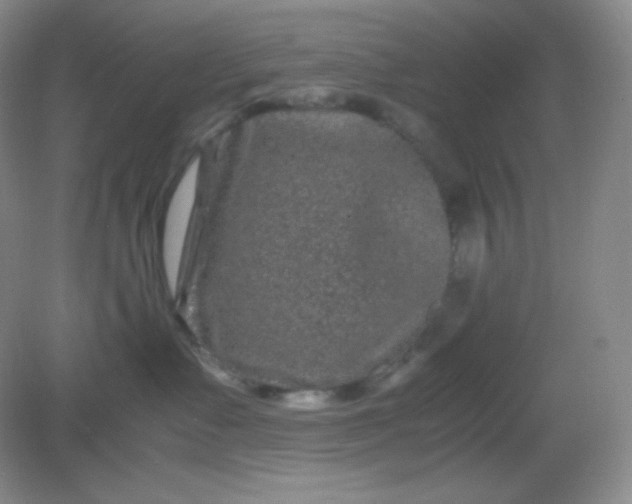 X0000082170335200702021733