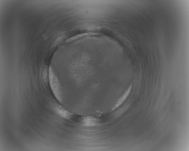 X0000082170336200702021733