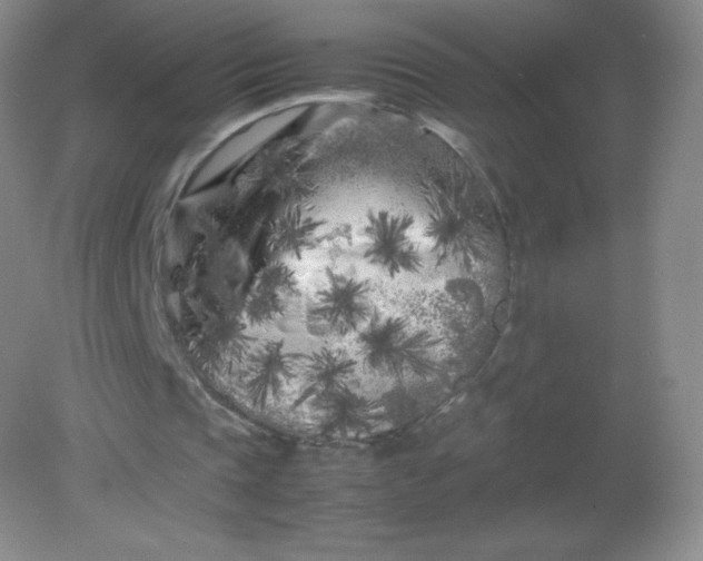 X0000082170337200702021732