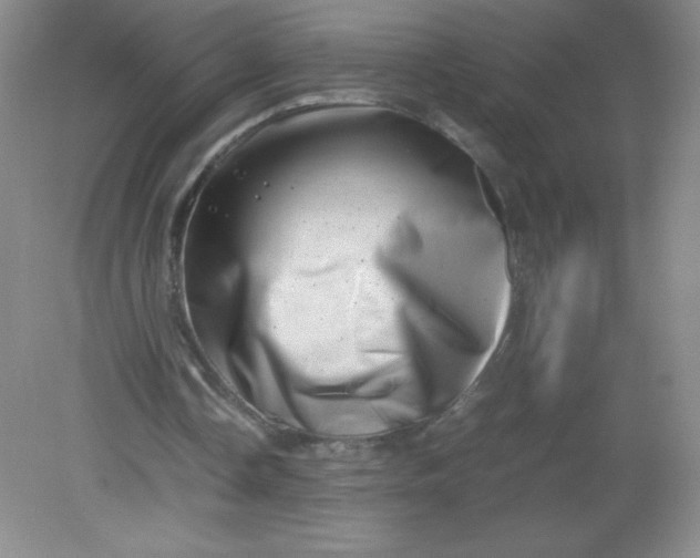 X0000082170338200702021732