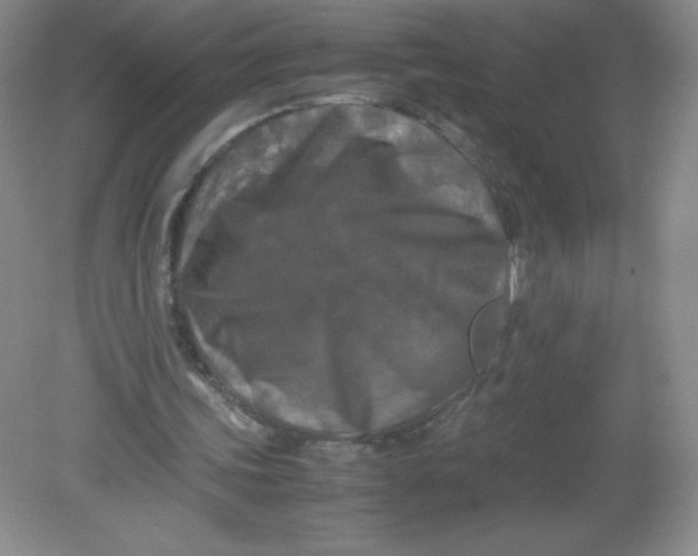 X0000082170339200702021732