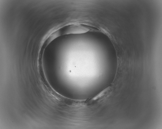 X0000082170340200702021732