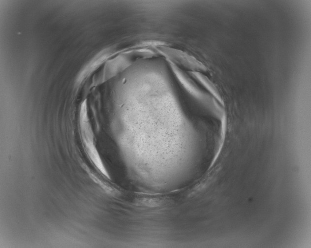 X0000082170341200702021732