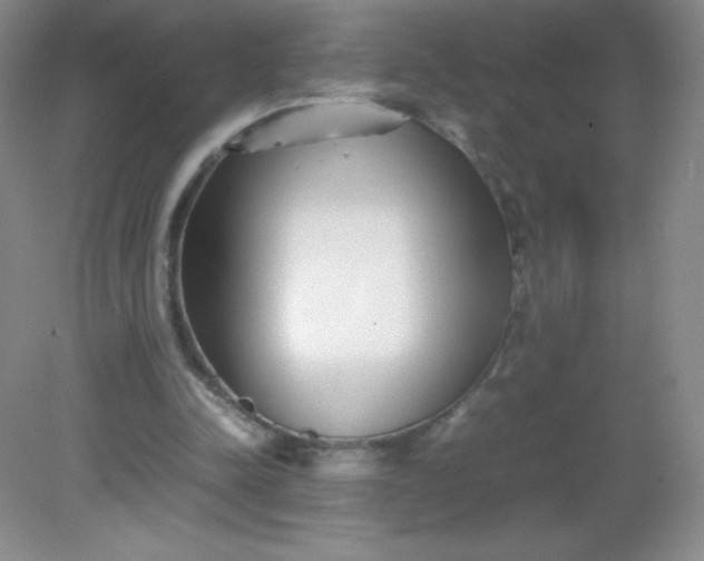 X0000082170342200702021732