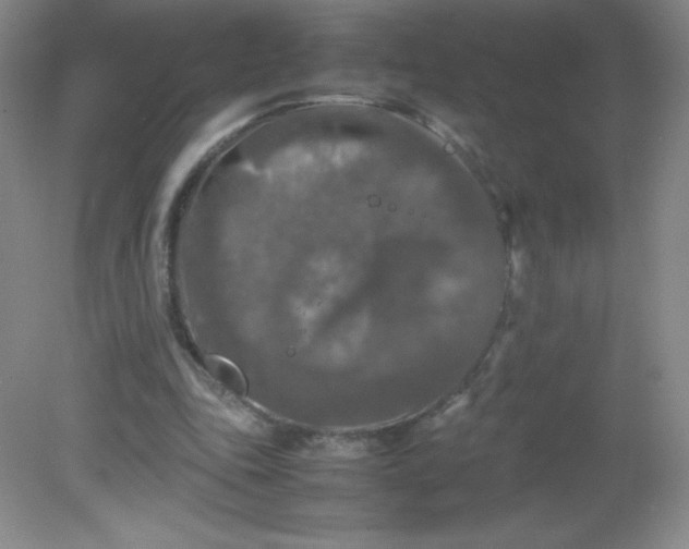 X0000082170343200702021732