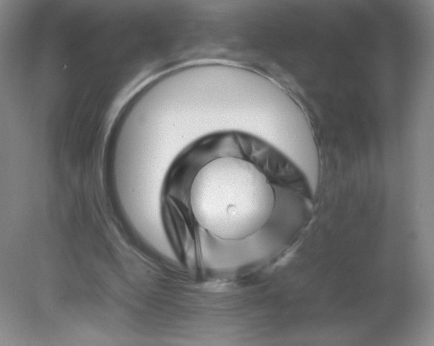 X0000082170344200702021732