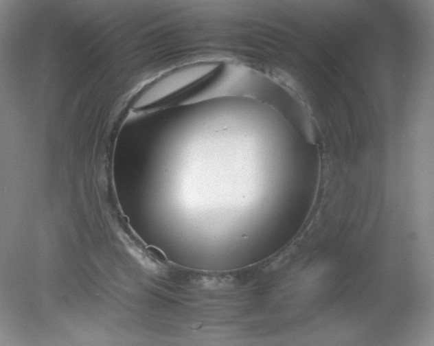 X0000082170345200702021732