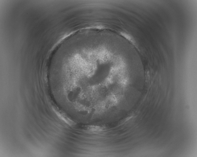 X0000082170347200702021732