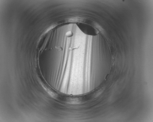 X0000082170349200702021732