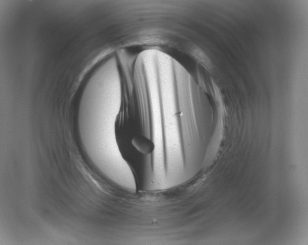 X0000082170350200702021732