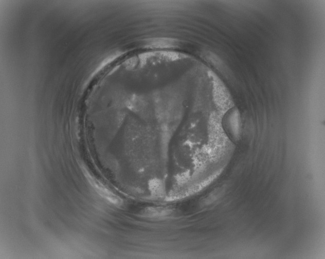 X0000082170351200702021732