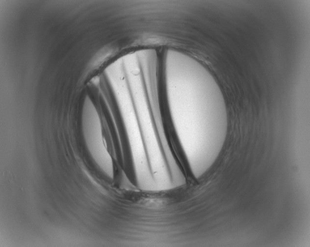 X0000082170352200702021732