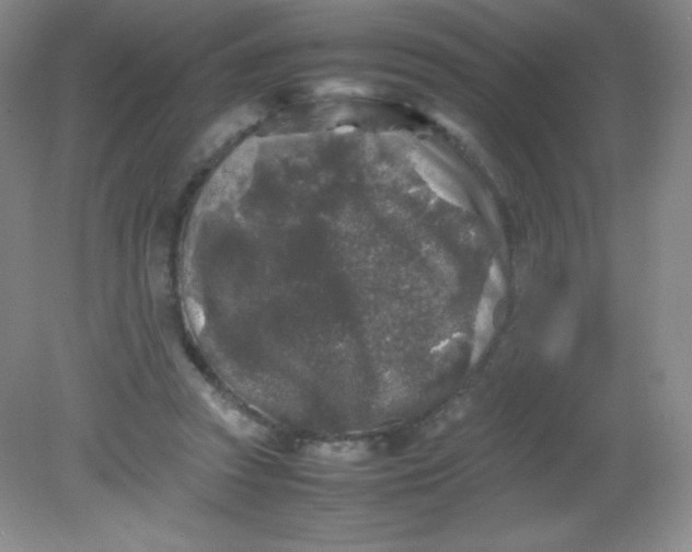 X0000082170353200702021732