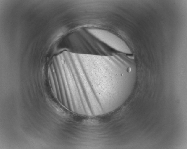 X0000082170354200702021732