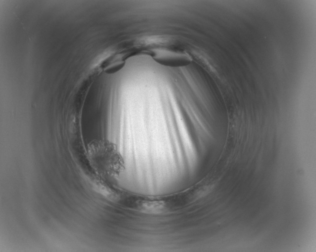 X0000082170355200702021732