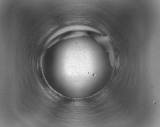 X0000082170356200702021732