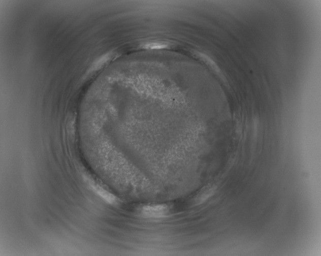 X0000082170357200702021732