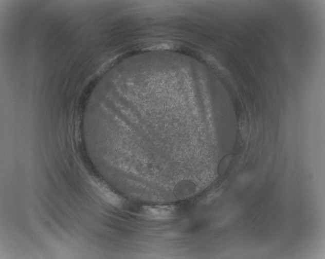 X0000082170359200702021732