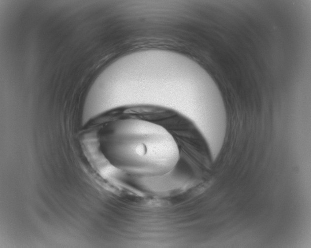 X0000082170360200702021732