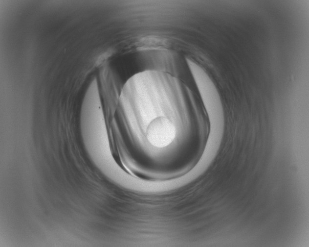 X0000082170362200702021732