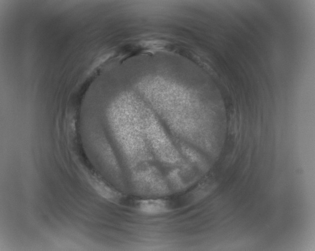 X0000082170363200702021732