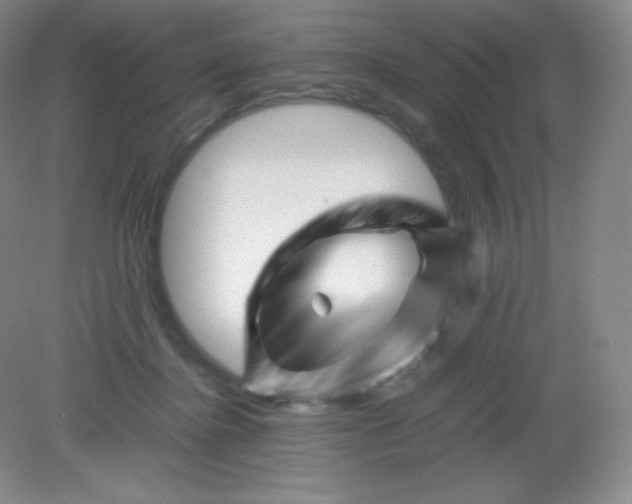 X0000082170364200702021732