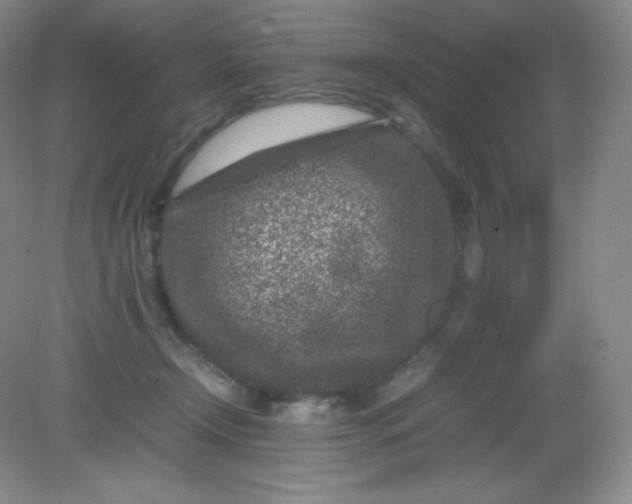 X0000082170366200702021733