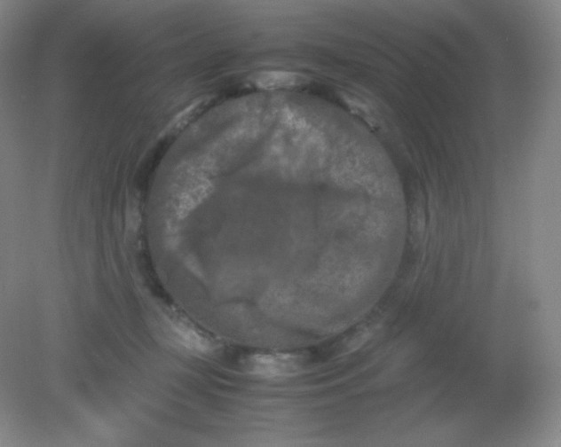 X0000082170367200702021733