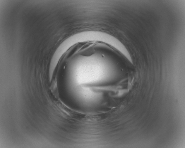 X0000082170368200702021733