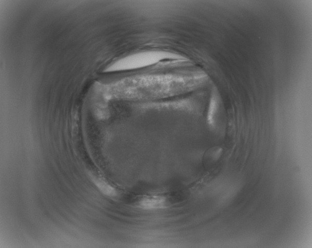 X0000082170369200702021733