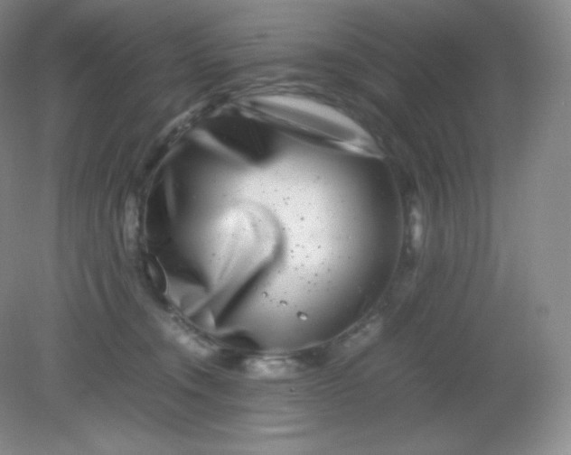 X0000082170372200702021733