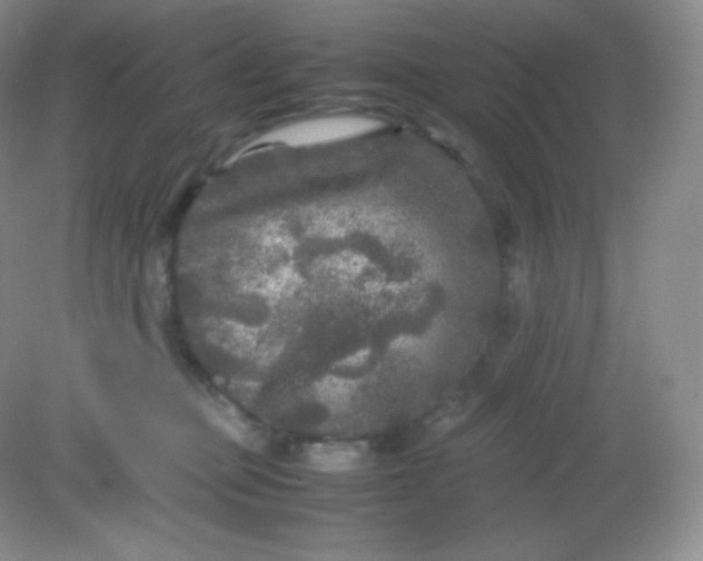 X0000082170373200702021733