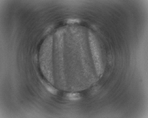 X0000082170375200702021733