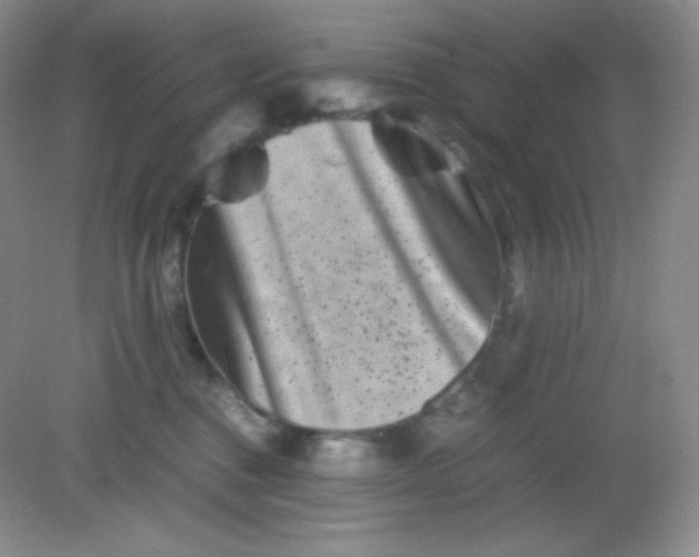 X0000082170376200702021733