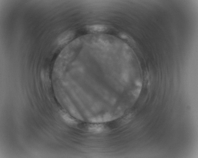 X0000082170377200702021733