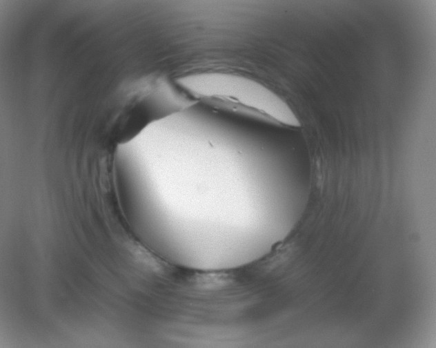 X0000082170378200702021733