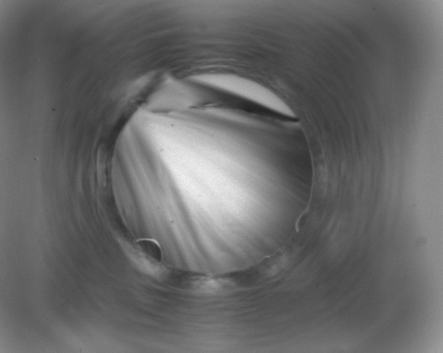 X0000082170379200702021733