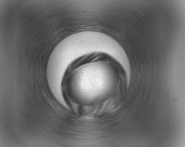 X0000082170380200702021733