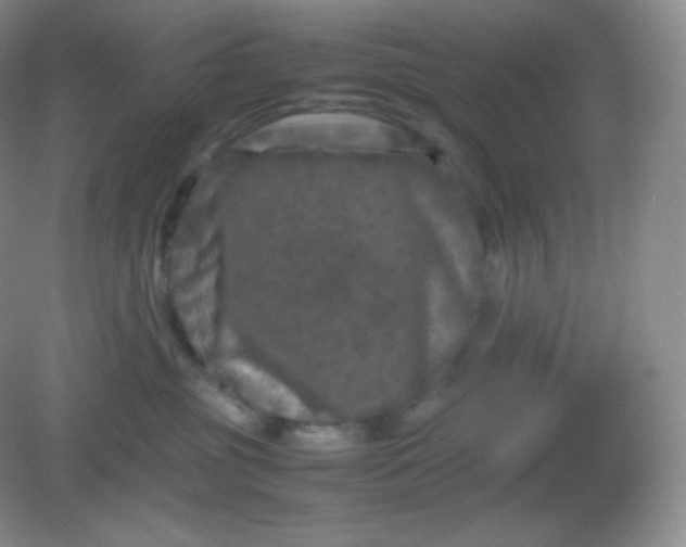 X0000082170381200702021733