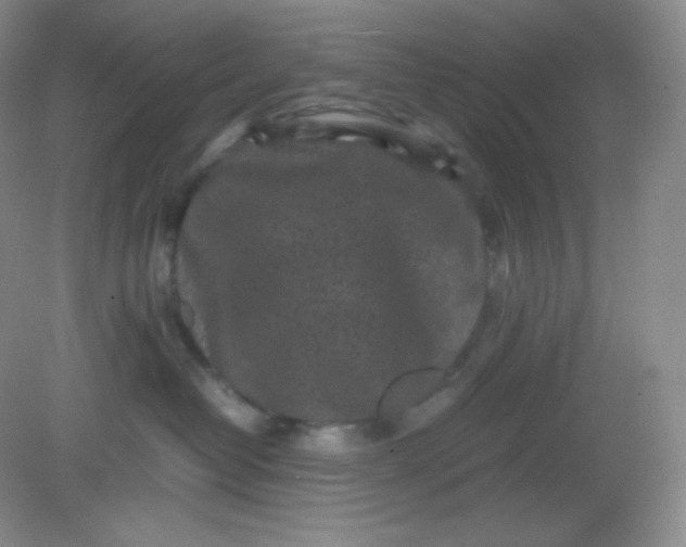 X0000082170382200702021733