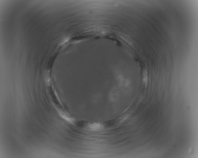 X0000082170383200702021733