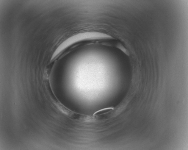 X0000082170384200702021733