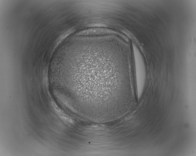 X0000082170386200702021732