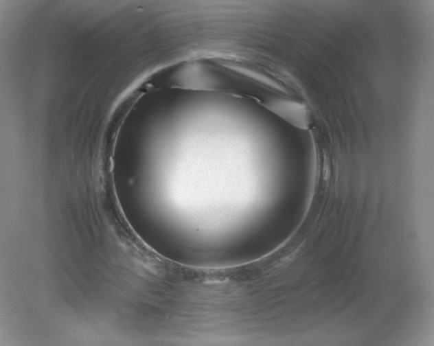 X0000082170388200702021732