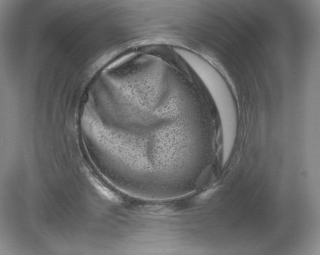 X0000082170389200702021732