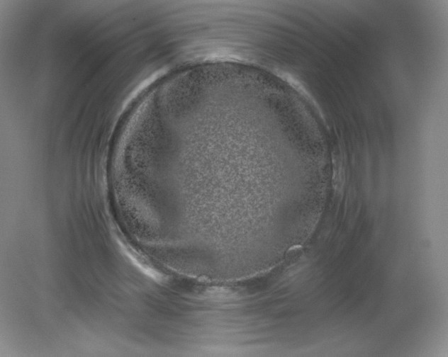 X0000082170390200702021732