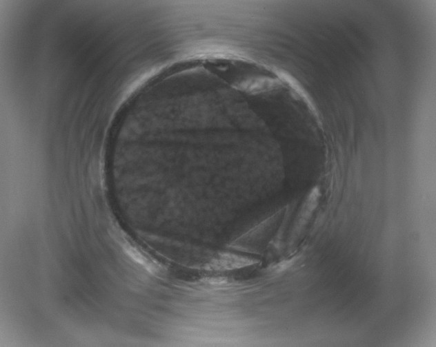 X0000082170391200702021732