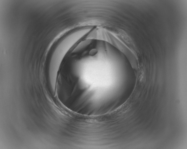 X0000082170392200702021732